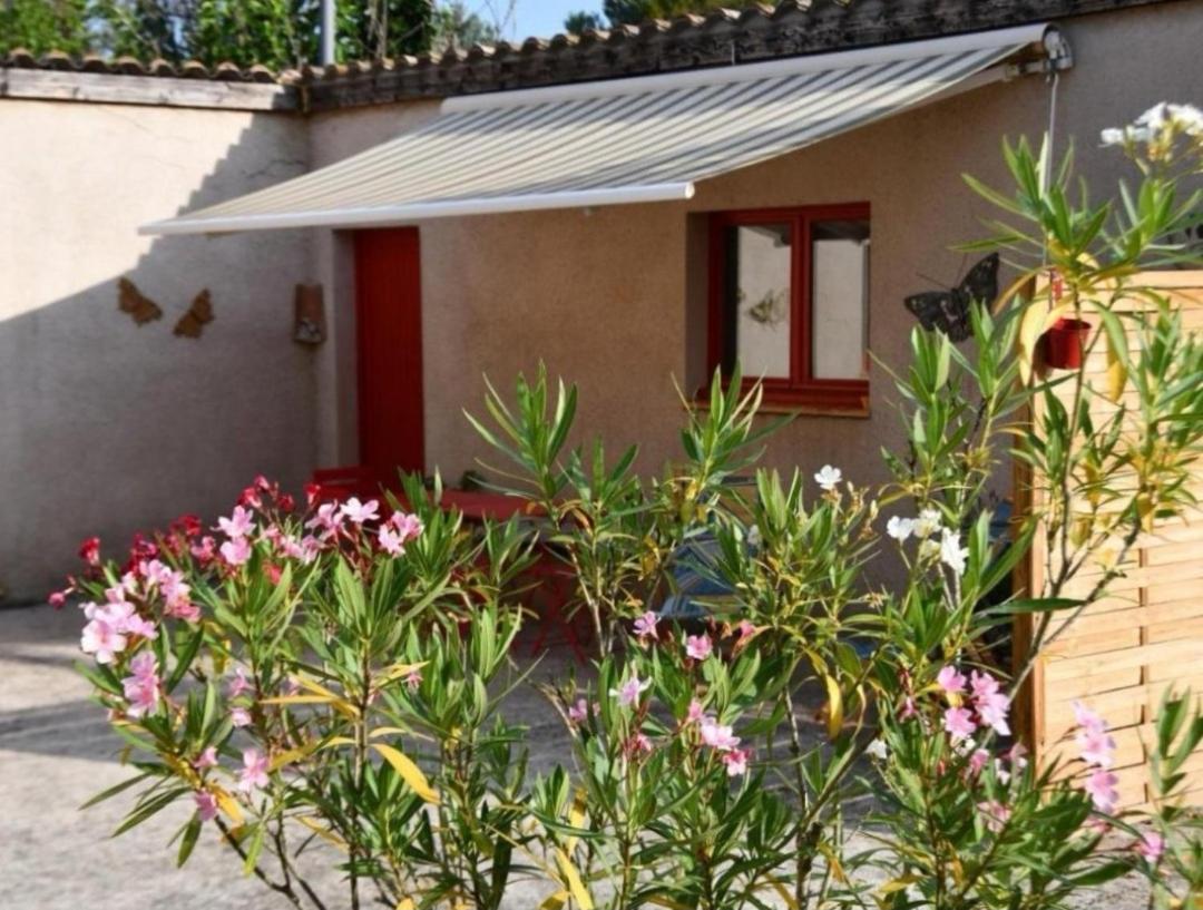 Mas La Belle Ambroise - Chambres D'Hotes Et Gite Saint Ambroix Bagian luar foto